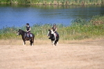 WJ6_8166
