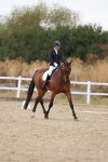 SBM_015141
