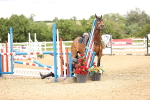 SBM_007440