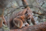Quite a mouthful!