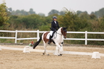 SBM_01484