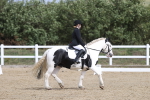 SBM_001993