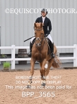 BPP_3565