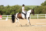 SBM_010143