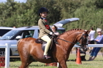 JPP_2007