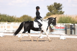 SBM_03612