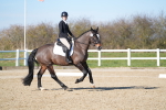 SBM_003328