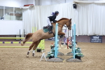 SBM_006684
