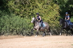 WJ6_8673