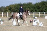 SBM_020924