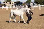 SBM_12939