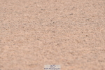 230720A-093738-01433