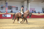 SBM_14960
