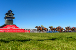 Race 4 portfolio