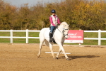 SBM_001774