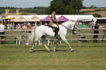 SBM_07664