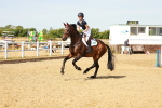 SBM_002583