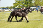 SBM_00812