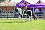 SBM_11642