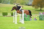 6YO Final Jump off portfolio