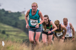 Steel Fell-234