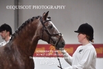 BPP_2856