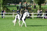 SBM_51936