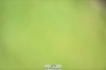 240605-152830-01281