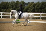 SBM_004225