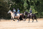 WJ6_9035