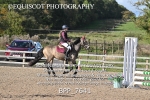 BPP_7641