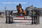 BPP_8277