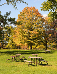 Bronte Park, Burlington