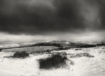 Winter on Bardon Moor