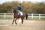 SBM_001611