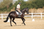 SBM_008281