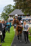 250823-Race 5-Reach-0915