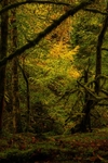 Relig Glen
