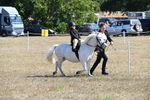 WJ6_7837