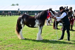 SBM_09483