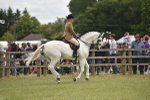SBM_15921