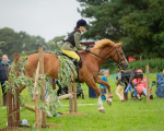 Dunblane show-465