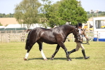 SBM_17928
