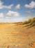 footprints