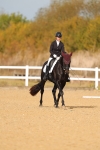 SBM_009390