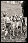 _LES3771bw