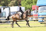 SBM_12892