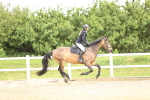 SBM_006488