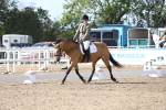 SBM_02180