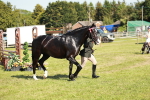SBM_19273